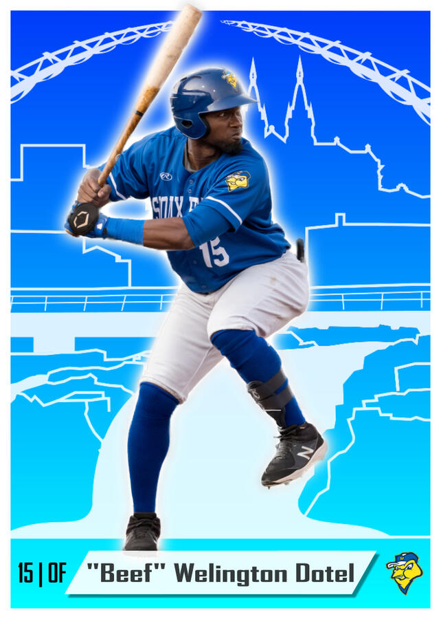 Welington Dotel Welington Dotel